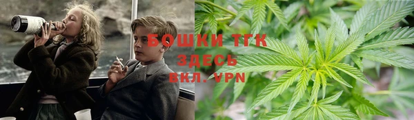 дмт Алексеевка