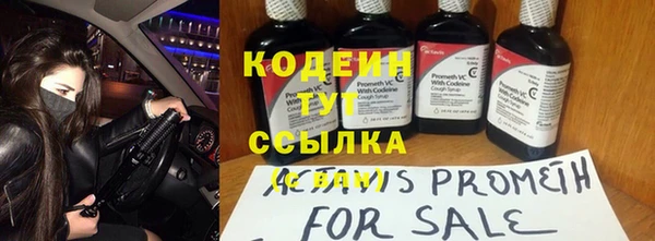 сатива Россошь
