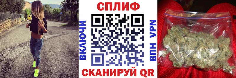 Каннабис сатива  купить наркоту  Избербаш 