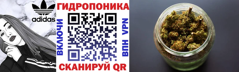 Бошки Шишки планчик Избербаш